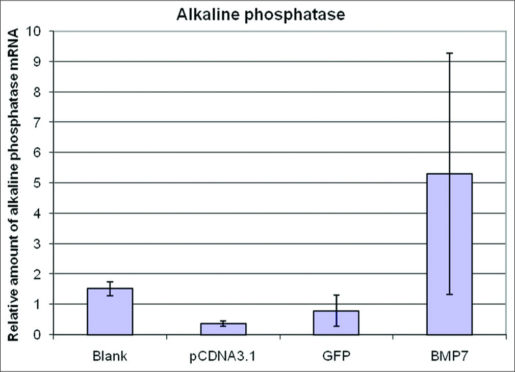 The relative levels of alkaline phosphatase mRNA at 24 h transfection