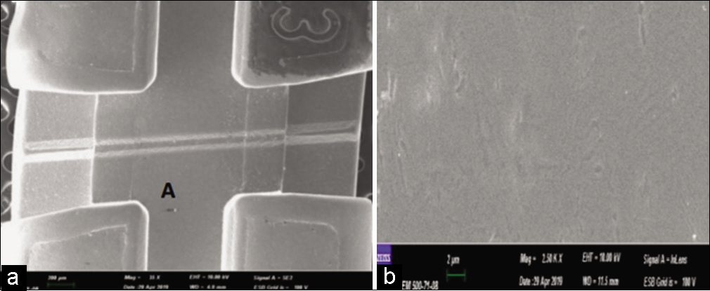 SEM images of coated brackets. (a) Original magnification ×50 (b) original magnification ×1000. The part visible in (b) is an enlargement of the part indicated by a.