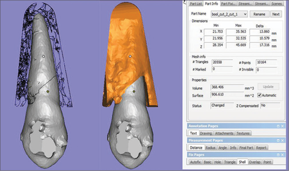 Measurement of alveolar bone volume (ABV) after cutting at a depth of 2–3 mm around the canine root border. A Boolean operation was then carried out for calculation of ABV (Materialise Magics 3D Print Suite software).
