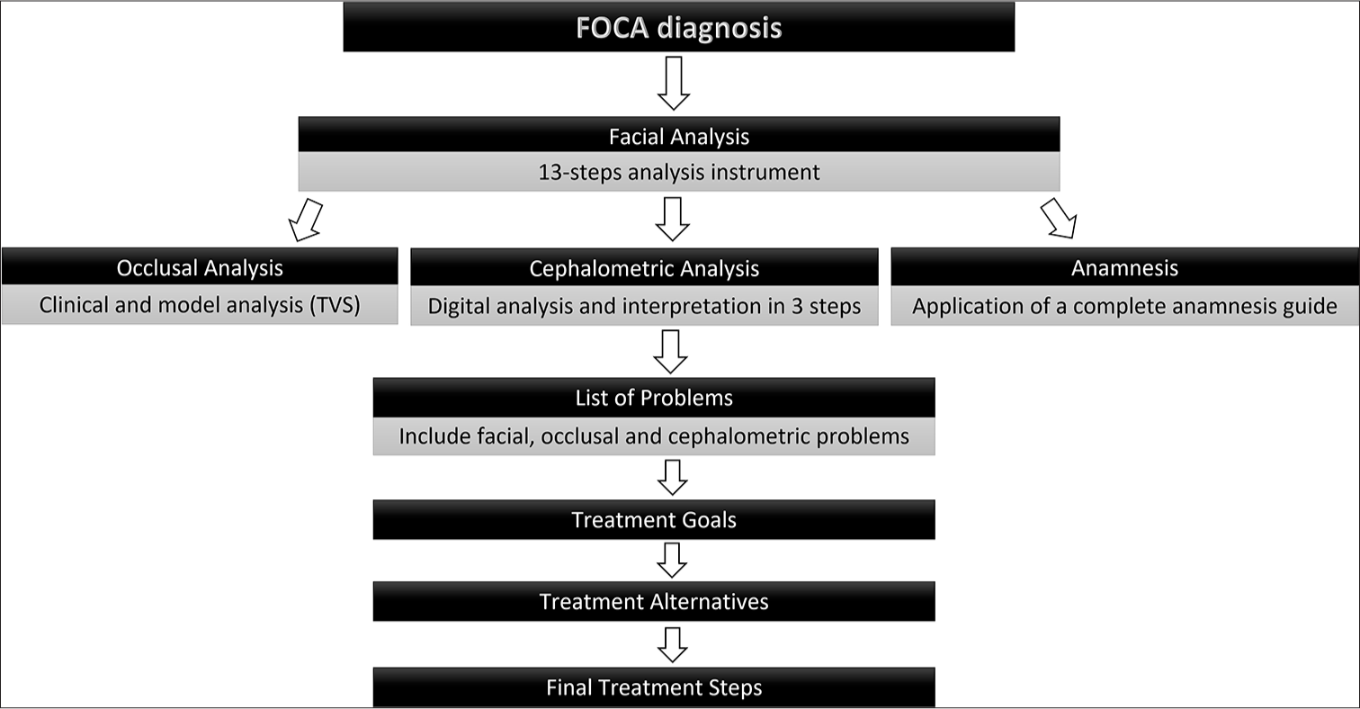 Sequence of the facial, occlusal, cephalometric, and anamnesis (FOCA) diagnostic method. TVS: Transverse, vertical, and sagittal