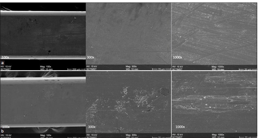 (a) Scanning electron microscopy (SEM) picture of test material obtained from part of the wire that underwent canine retraction before frictional test at ×100, ×300, and ×1000. (b) SEM picture of test material obtained from part of the wire that underwent canine retraction after frictional test at ×100, ×300, and ×1000.