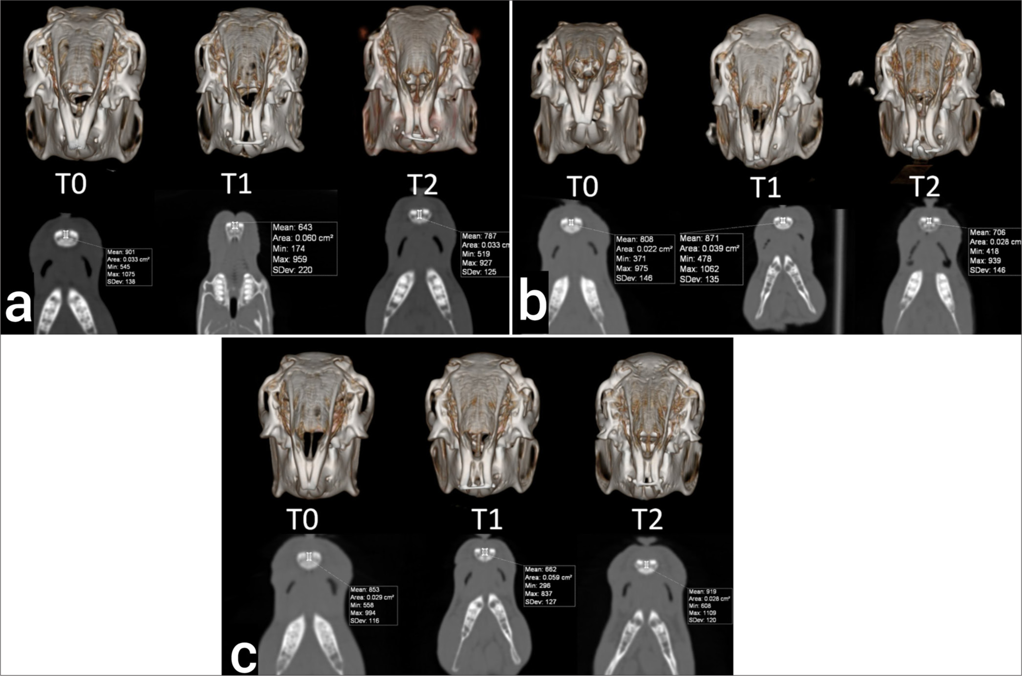 Multidetector computed tomography images at T0, T1, and T2 periods. (a) Control, (b) Group I, (c) Group II.