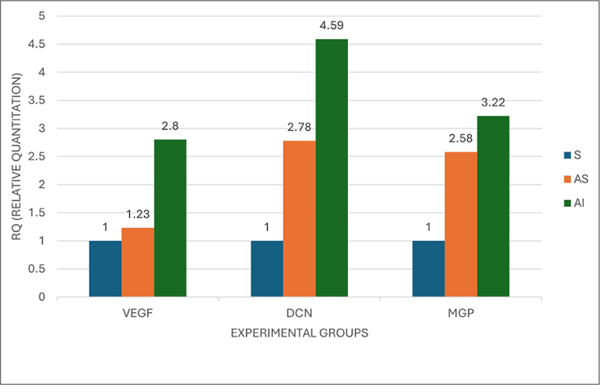 Histogram representing RQ of VEGF, DCN, and MGP gene expression in control and experimental groups. RQ: Relative quantitation, VEGF: Vascular endothelial growth factor, DCN: Decorin, MGP: Matrix gla protein. S: Injection of growth factors only, AS: mandibular repositioning appliance, AI: mandibular repositioning appliance and growth factors.